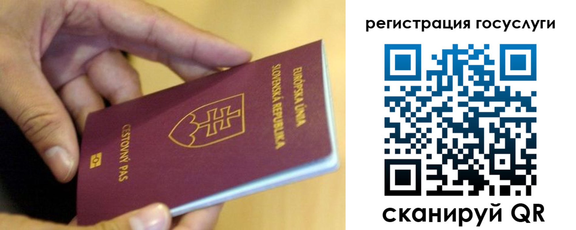 прописка в квартире в Егорьевске